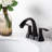 2-handle Bathroom Faucet with Drain Assembly-72244184