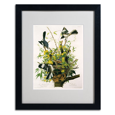 «Mocking Birds and Snake II» par John James Audubon, reproduction d'art sur toile
