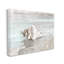 Conque reposant sur un endroit calme-69571346-69571351