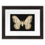 Flutter 7 Print by Todaro, Katie