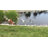 Mongillo Weather Resistant Plastic Animals Garden Art