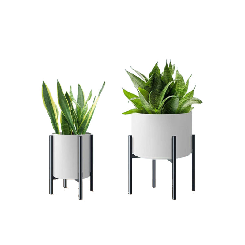 Plant Stand