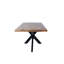 Découvrez la table de salle à manger rectangulaire Modern Elegance avec plateau en bois de manguier et pieds robustes en araignée-741594274