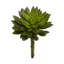 Sharpe 8" Tall Artificial Succulent