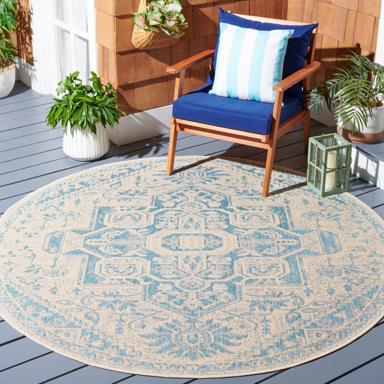 Danya Aqua/Cream Indoor/Outdoor Area Rug