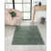 Lush shaggy carpet in  green