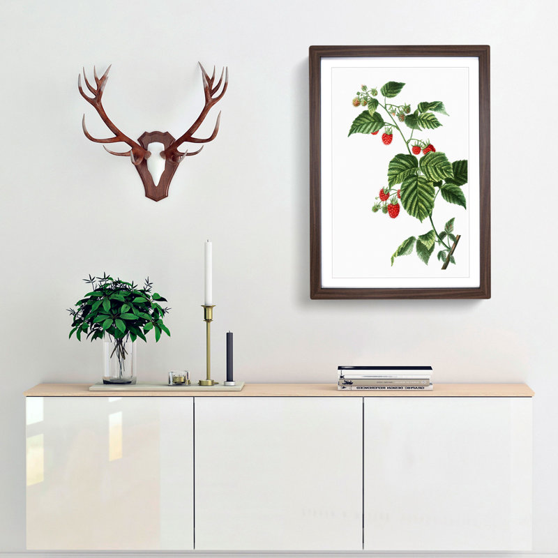 Raspberry Plant by Pierre-Joseph Redoute - Picture Frame Painting Print, Walnut Framed, 36cm H x 27cm W x 2cm D