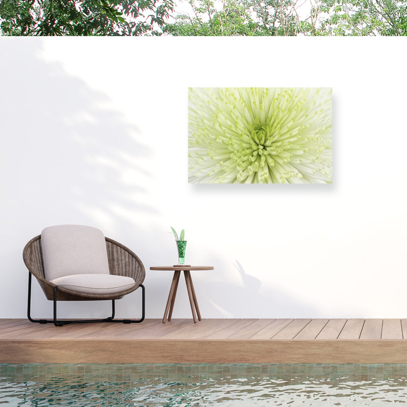Plants & Flowers Wall Decor, 22" H x 32" W
