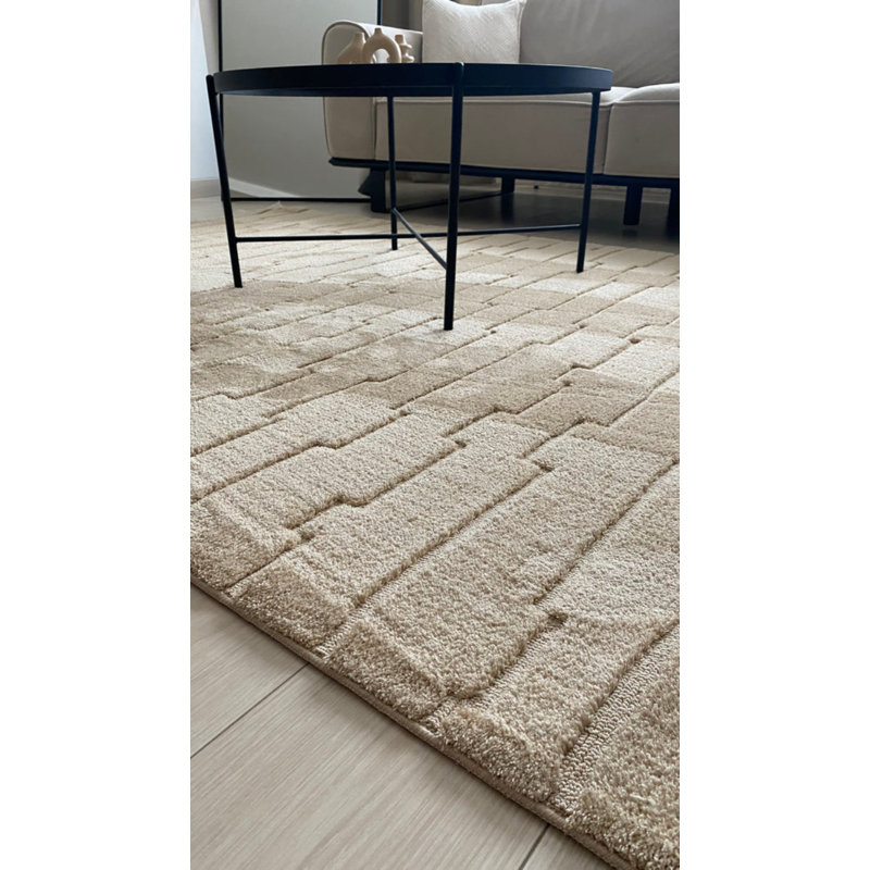 Tapis en coton Shellene, Rectangle 5 pi 3 po x 8 pi 3 po