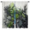 Paire de rideaux obscurcissant en polyester Orabella