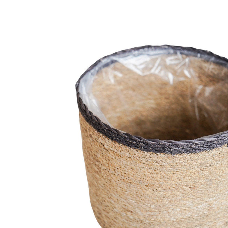 Cachepot, Grey Rim