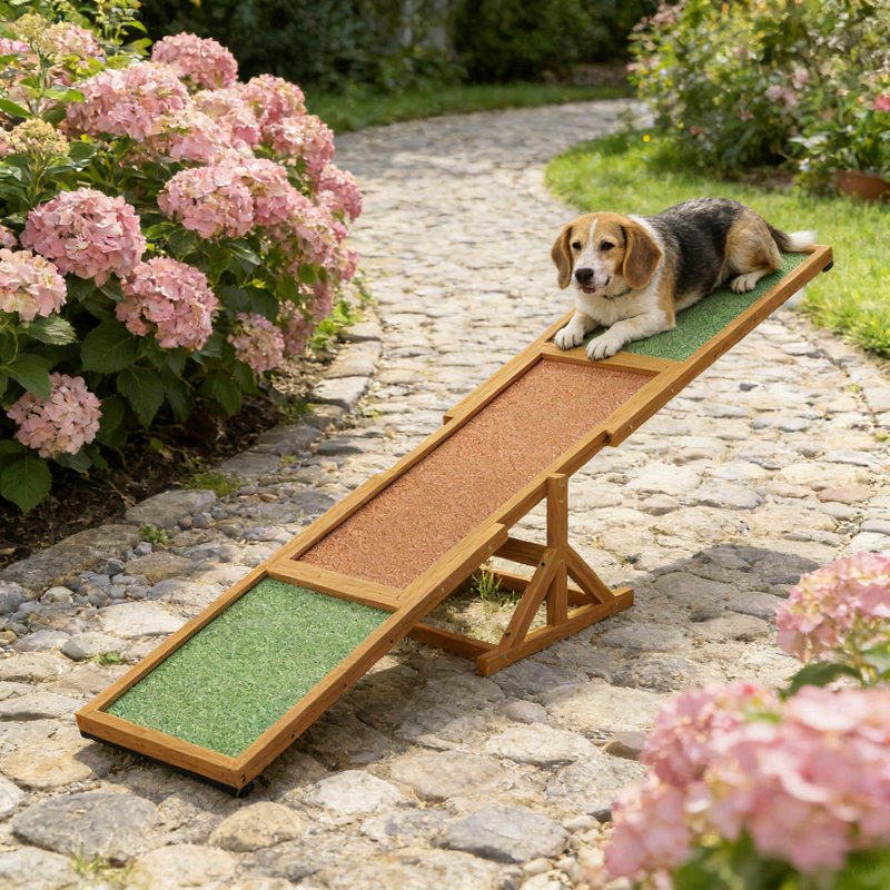 Balançoire en bois pour animaux de compagnie