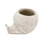 Jardinière décorative texturée beige sable et ciment 8,3 po x 7 po x 4,7 po pour des décorations côtières avec des plantes grasses