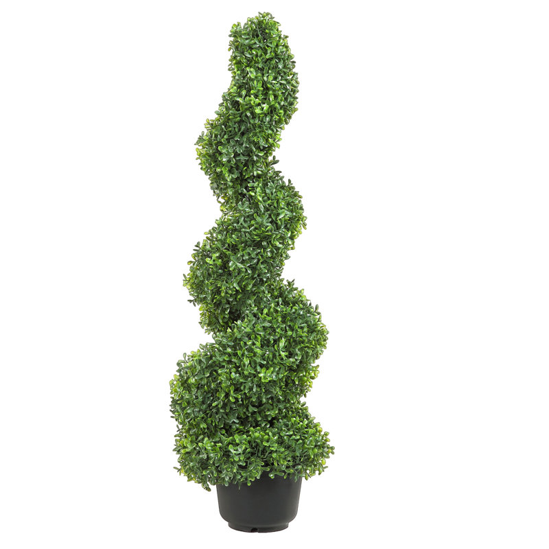 Primrue Artificial Boxwood Topiary in Pot, 36" H x 8" W x 8" D