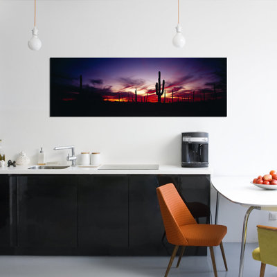 " Brilliant Sunset, Saguaro National Park, Pima County, Arizona, USA " by Panoramic Images