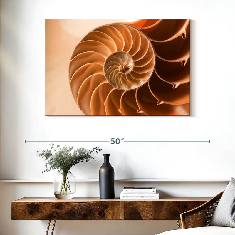 Coque Aletra Nautilus à l'intérieur, H 26 po x l 39 po