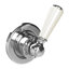 Silver Nickel/White
