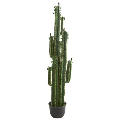 Cactus Artificial Plant