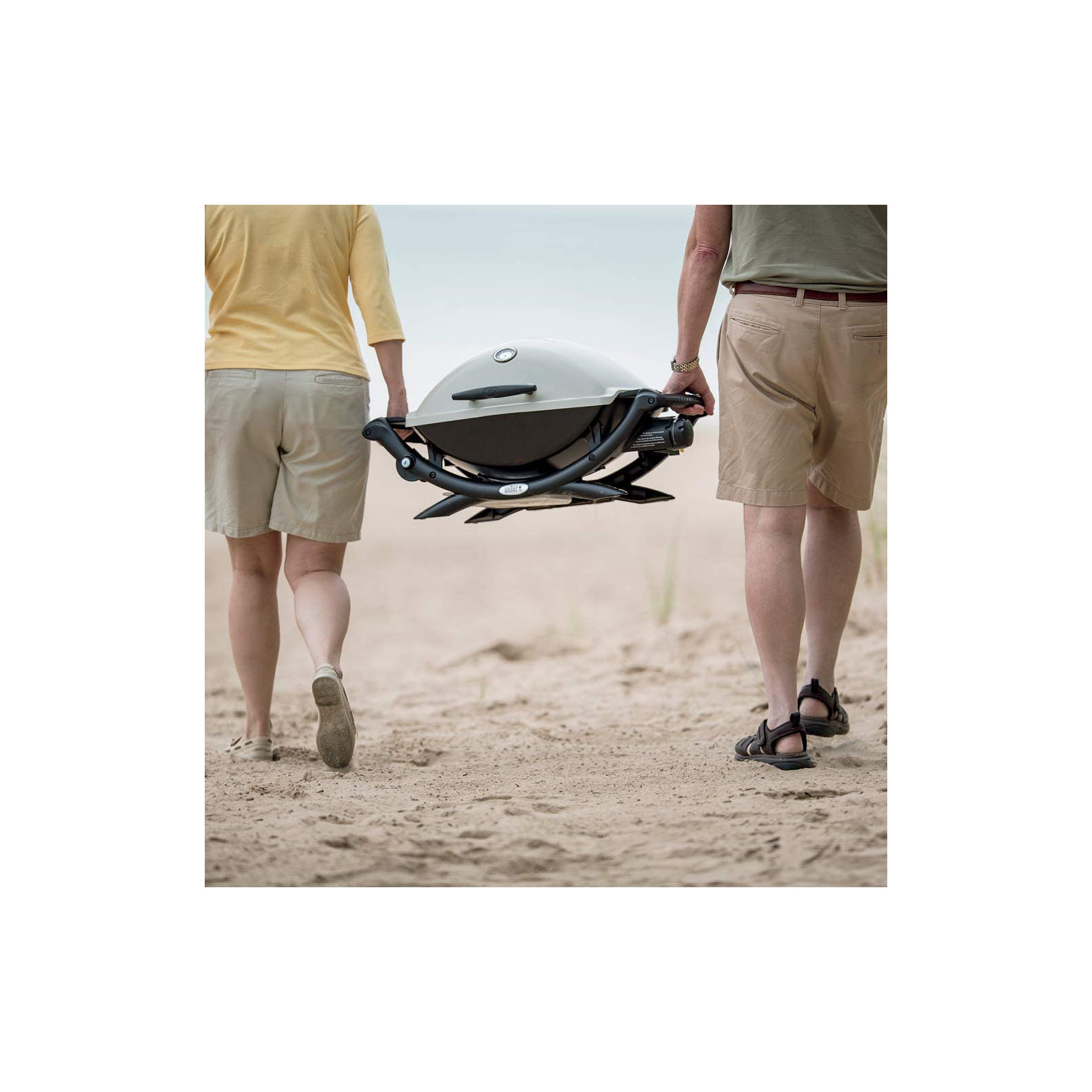 Q® Series Weber Q 2200, Titanium