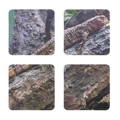 Lizard Sublimation Coasters Pack Of Four