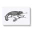 Chameleon In Black & White by George Shaw - Wrapped Canvas Painting-55304325