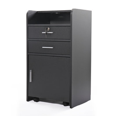 Mcraney Beauty Salon 2 Drawer Rolling Storage Chest by Rebrilliant