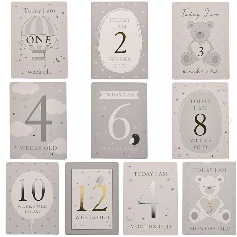 Paper/ Card Novelties Album