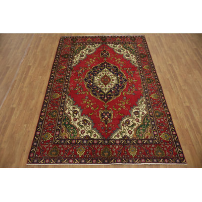Traditional Area Rug 6x9