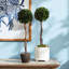 Thisbe Faux Boxwood Topiary in Planter-189621007