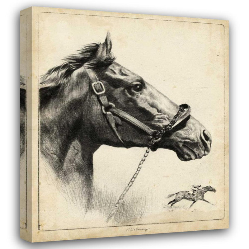 Loon Peak Palenske, R.H. Gallery Wrapped Canvas Art Titled: Whirlaway, 42" H x 36" W