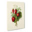 Vintage Illustration Of Strawberries - Wrapped Canvas Painting-55300303