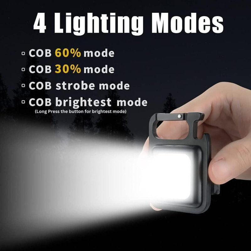 Keychain Work Light Keychain Flashlights 4 Light Modes,Keychain Light Emergency Light with Folding Bracket Bottle Opener for Fishing,Camping and Walking 2Pack