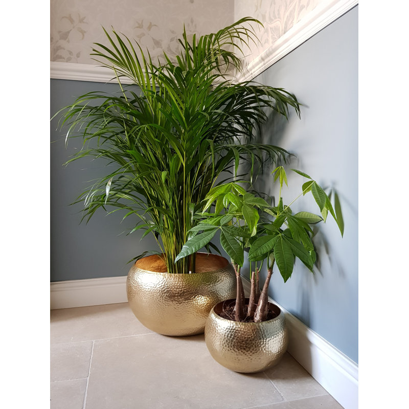 De Soto Metal Pot Planter