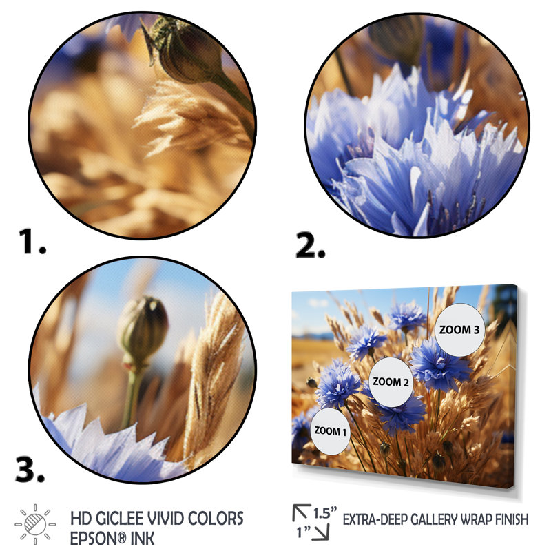Cornflowers Field VII - reproduction sur toile, H 34 po x l 44 po, Cadre flottant noir