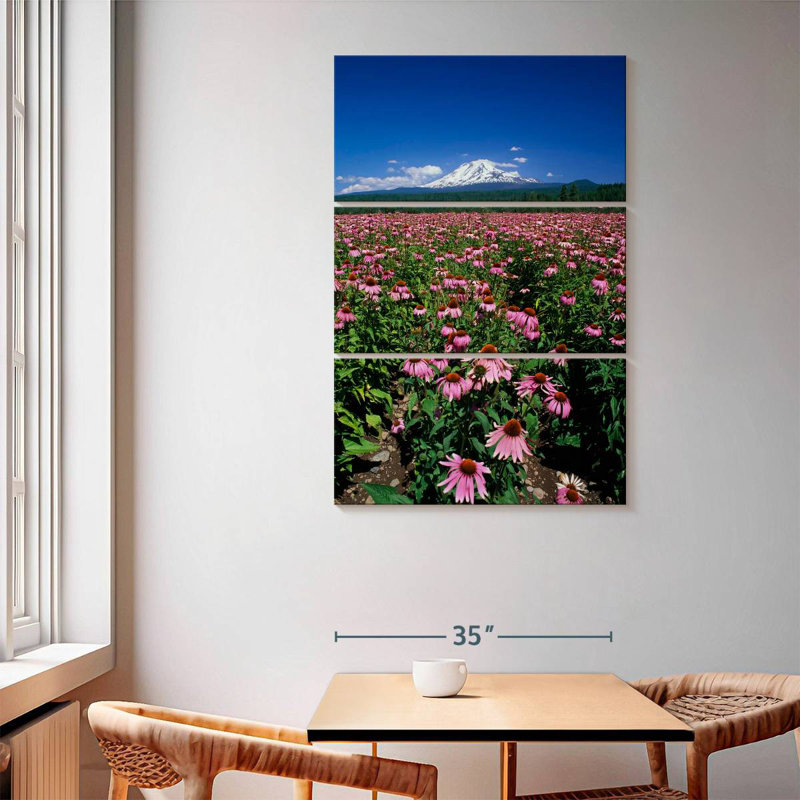 Harnek Echinacea Field, 65" H x 42" W