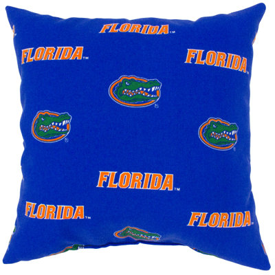 Florida Gators Outdoor Square Pillow Cover & Insert, Florida Gators