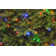 National Tree Company Dunhill Fir Tree with Dual Color LED Lights and PowerConnect