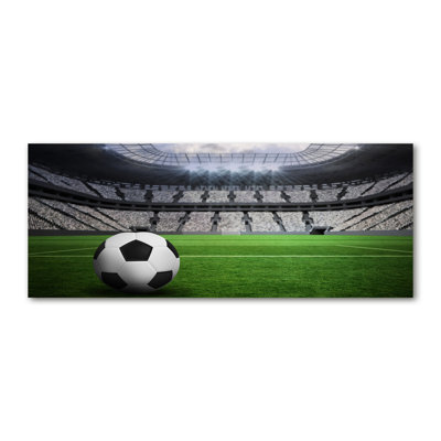 Ball in the Stadium 1 Piece Wrapped Canvas Wall Art