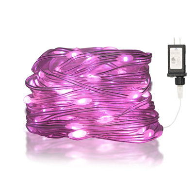 Knisha Indoor / Outdoor 100 - Bulb 516 in. Plug-in LED Fairy String Light