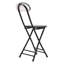 4pcs Portable and Foldable Dining Chairs-1279865772