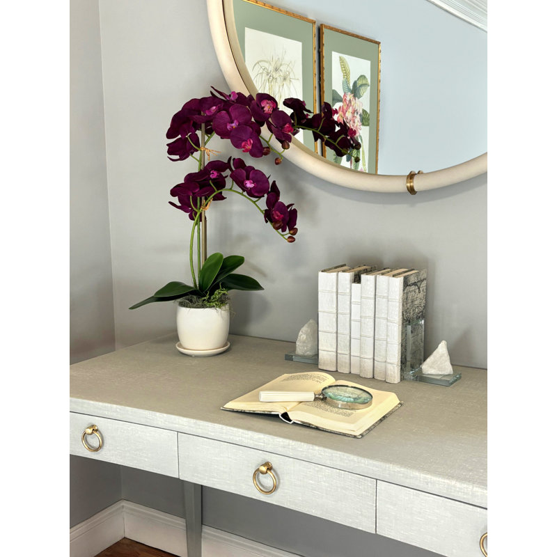 Arrangement floral orchidée en pot