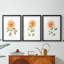Bright Botanical I - reproduction sur mesure encadrée de qualité supérieure - 3 pièces-639311718-639311717