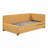 Upholstered Daybed with Trundle-286979449-286979448