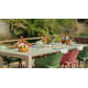 Farrah Extendable Plastic / Acrylic Outdoor Dining Table
