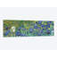 «Irises 1889» par Vincent Van Gogh, impression sur toile-488896060-411781740