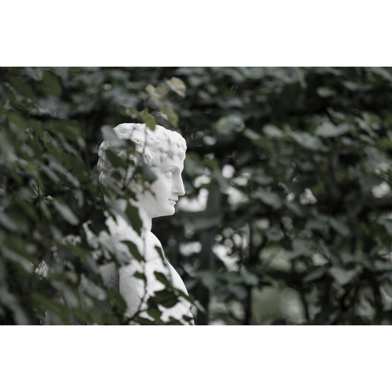 Garden Seer Print by Thom Filicia