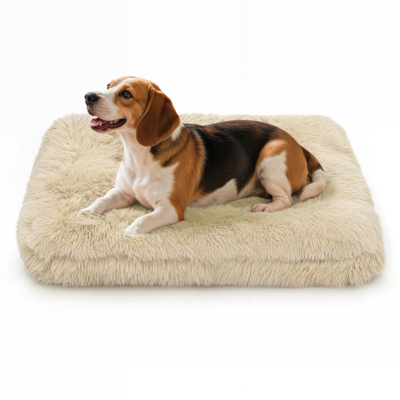 Coussin de siège pour animal de compagnie, Beige, Moyen (H 5,5 po x l 34,5 po x P 26 po)