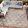 Adianey Red Barrel Studio Easy Care Trellis Brown/Beige Indoor/Outdoor Area Rug
