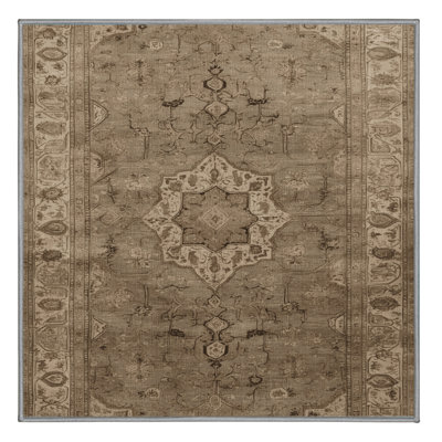 Machine Washable Persian Grey Area Rug