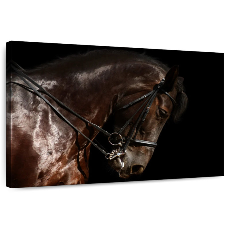 Brampt Bridled Horse, 34" H x 51" W